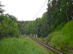 354 195 zu sehen am 20.06.15 bei Luzna.